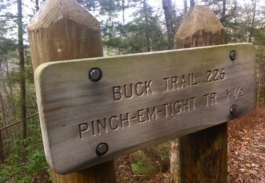 Buck Trail - 1